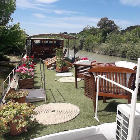 Peniche Caroline Bed & Breakfast Capestang Exterior foto
